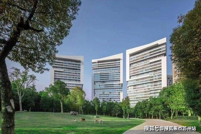 中鹰黑森林-售楼处2025最新首页网站-中鹰黑森林售楼处欢迎您楼盘评测最新价格户型配套(图4)