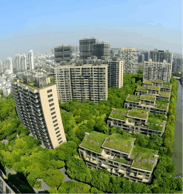 中鹰黑森林-售楼处2025最新首页网站-中鹰黑森林售楼处欢迎您楼盘评测最新价格户型配套(图5)
