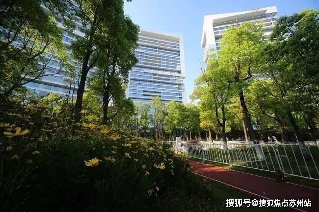 中鹰黑森林-售楼处2025最新首页网站-中鹰黑森林售楼处欢迎您楼盘评测最新价格户型配套(图11)