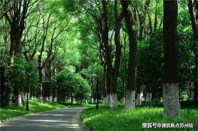 中鹰黑森林-售楼处2025最新首页网站-中鹰黑森林售楼处欢迎您楼盘评测最新价格户型配套(图10)