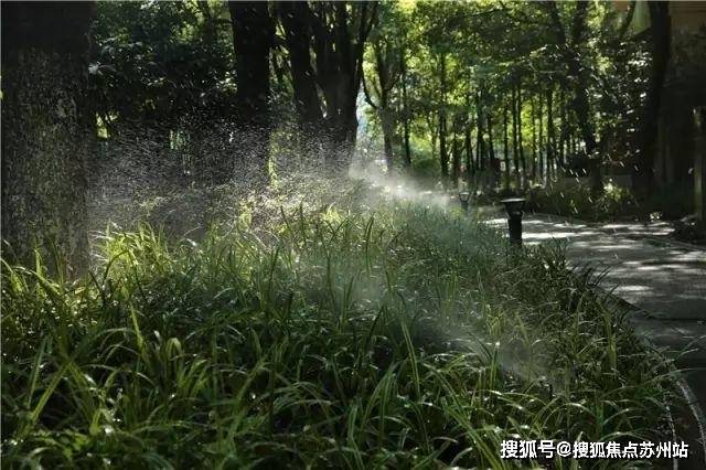 中鹰黑森林-售楼处2025最新首页网站-中鹰黑森林售楼处欢迎您楼盘评测最新价格户型配套(图13)