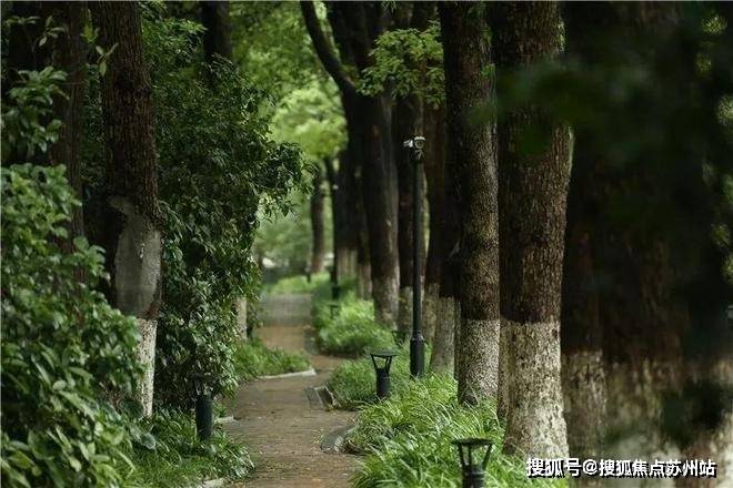 中鹰黑森林-售楼处2025最新首页网站-中鹰黑森林售楼处欢迎您楼盘评测最新价格户型配套(图12)