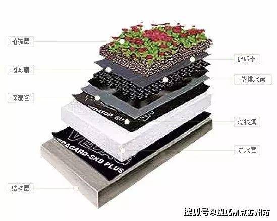 中鹰黑森林-售楼处2025最新首页网站-中鹰黑森林售楼处欢迎您楼盘评测最新价格户型配套(图16)