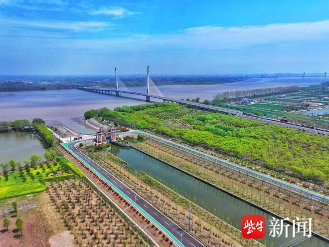 如皋市龙游湾路荣获全国最具人气的路(图2)