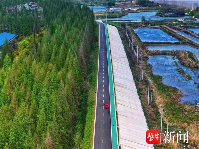 如皋市龙游湾路荣获全国最具人气的路(图1)