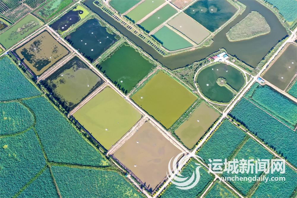 守护黄河生态“绿”铸就古郇发展“金”(图3)