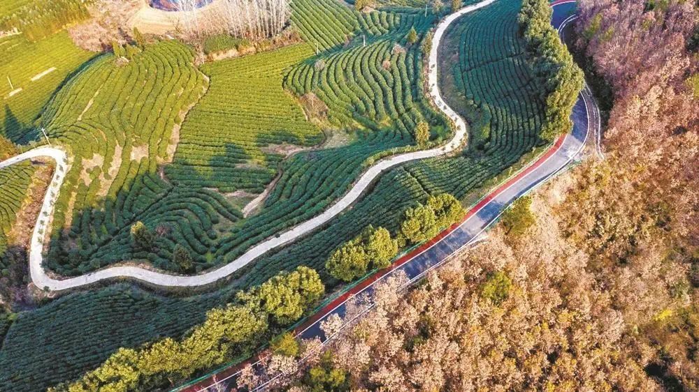 九游app：美丽农村路带动群众富——襄阳农村公路为乡村产业撑起一片蓝天！(图3)