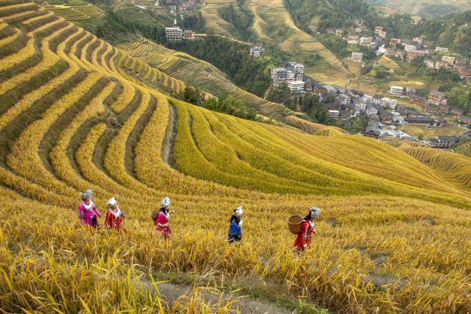 2025最近广西旅游攻略自由行最佳路线桂林旅游必去景点(图3)