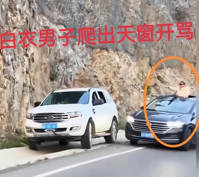独库公路刚开放就遭堵车恶意别车还开车窗骂人车牌号遭曝光(图6)