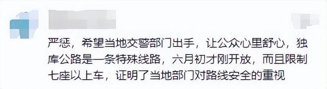 独库公路刚开放就遭堵车恶意别车还开车窗骂人车牌号遭曝光(图11)