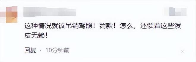 独库公路刚开放就遭堵车恶意别车还开车窗骂人车牌号遭曝光(图10)
