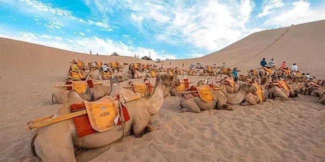 西北大环线旅游攻略自由行路线推荐西北大环线自由行攻略(图2)