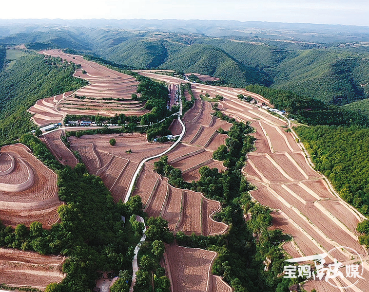 改革发展看县区丨麟游篇(图6)