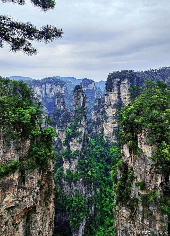 带老人去张家界自驾游攻略！保姆级路线+避坑指南不看亏大了！(图2)