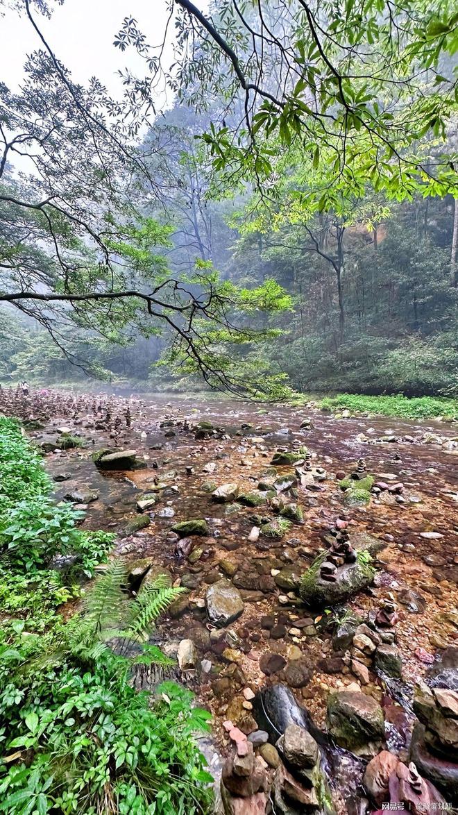 带老人去张家界自驾游攻略！保姆级路线+避坑指南不看亏大了！(图3)