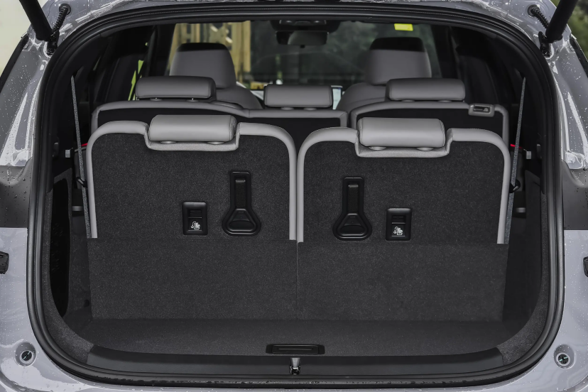 预算20万买台6座SUV零跑C16、比亚迪唐、东风奕派008你会选谁(图11)