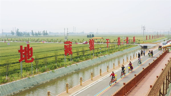 平顶山市叶县：农文旅融合绘就美丽乡村新图景(图1)