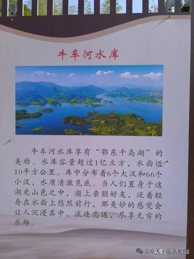 九游体育：媒眼看团风（六）(图5)