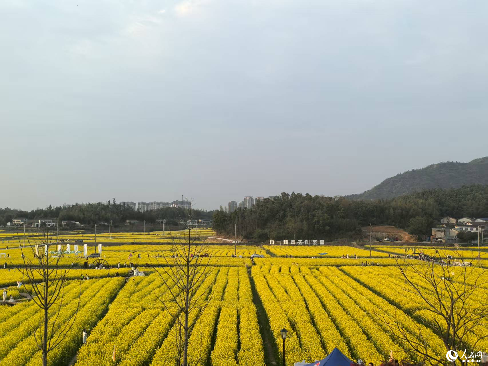 乡村振兴看“湘”村(图1)