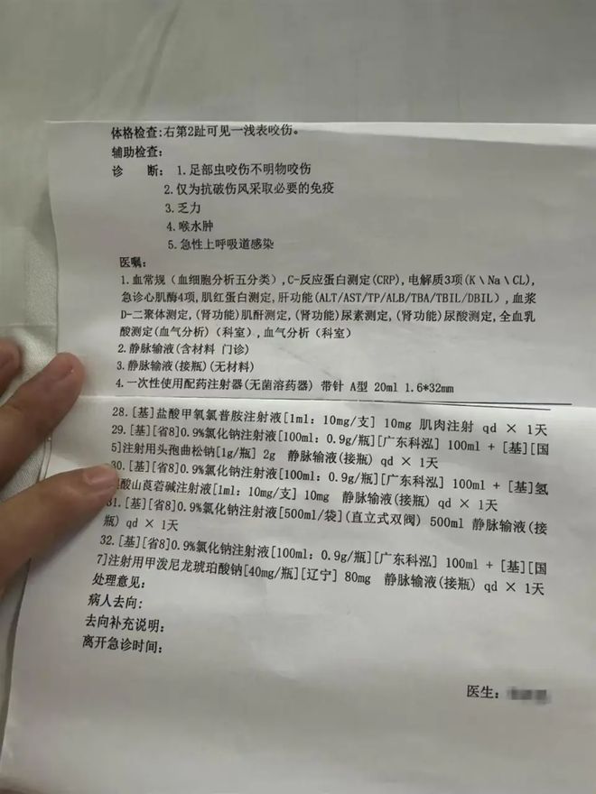 九游体育：27岁女游客三亚被蛇咬身亡专家急吼：秒拍蛇照是救命关键(图3)
