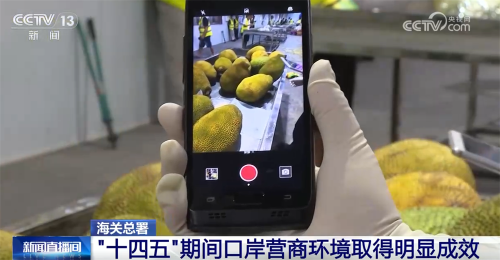 九游app：营商环境显效、布局持续优化、防控能力提升数说“十四五”口岸发展成就(图3)