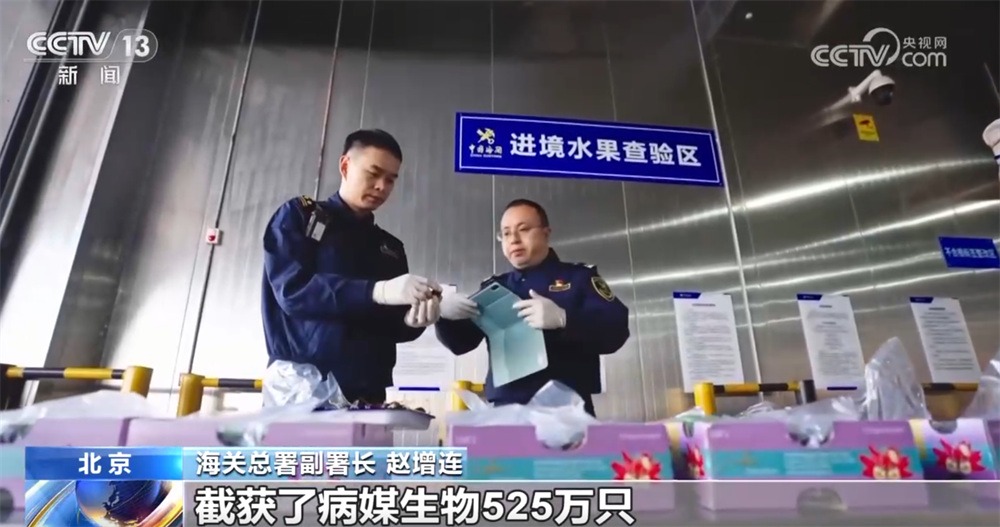 九游app：营商环境显效、布局持续优化、防控能力提升数说“十四五”口岸发展成就(图7)