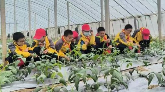 @新生们！开学季福利MAX！50+优惠带你玩转济南(图18)
