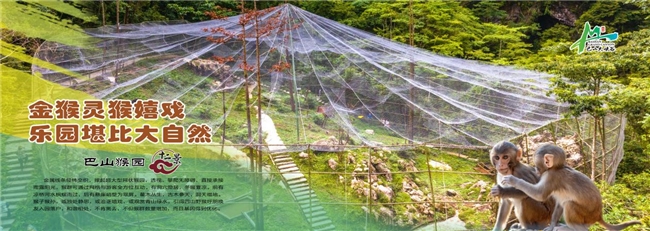 巴山大峡谷中国4A级旅游景区(图4)