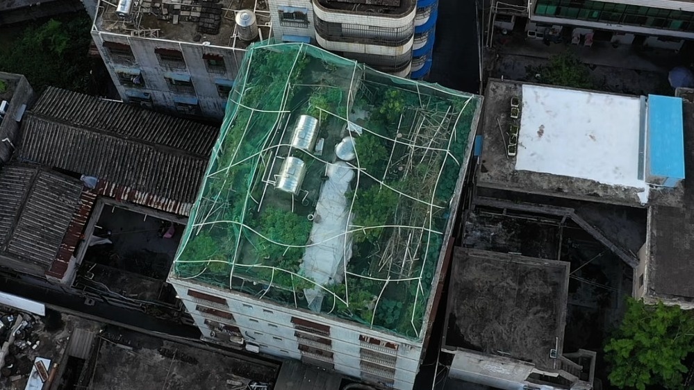 九游体育：假期出行指南丨自驾游要留意这些安全细节(图11)