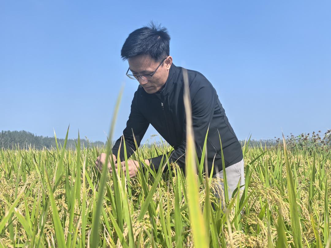 大河安澜处齐鲁绘新卷！(图9)