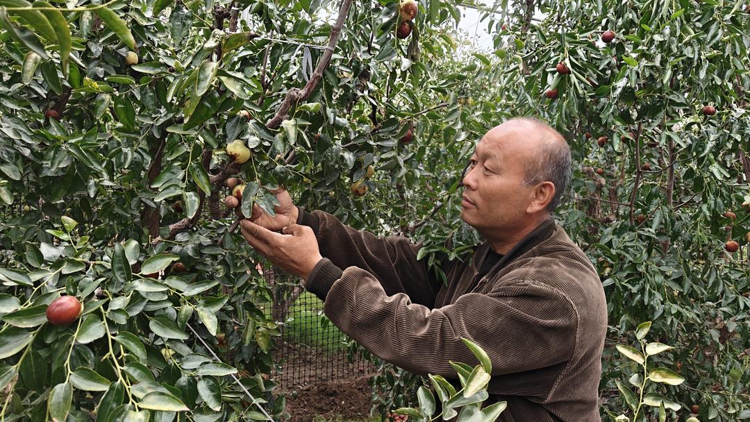 大河安澜处齐鲁绘新卷！(图17)