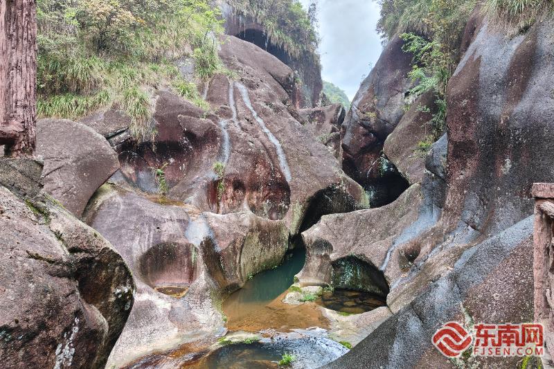红柿映山海宁德全域旅游四季皆景(图3)
