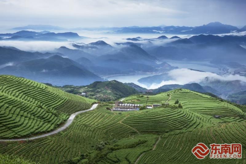 红柿映山海宁德全域旅游四季皆景(图6)