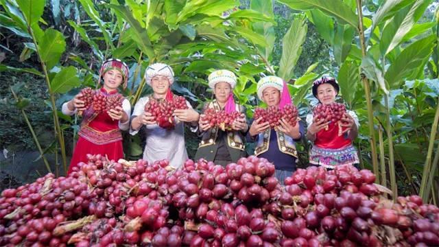 九游app入口：东方大峡谷的生态发展奇迹惊艳上海盛会(图9)