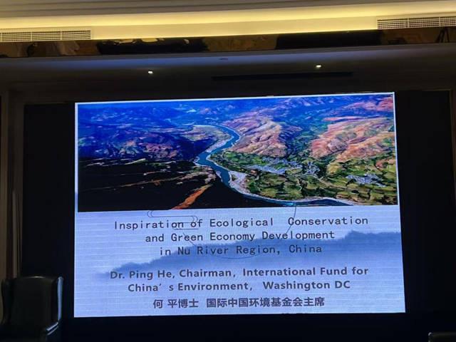 九游app入口：东方大峡谷的生态发展奇迹惊艳上海盛会(图3)