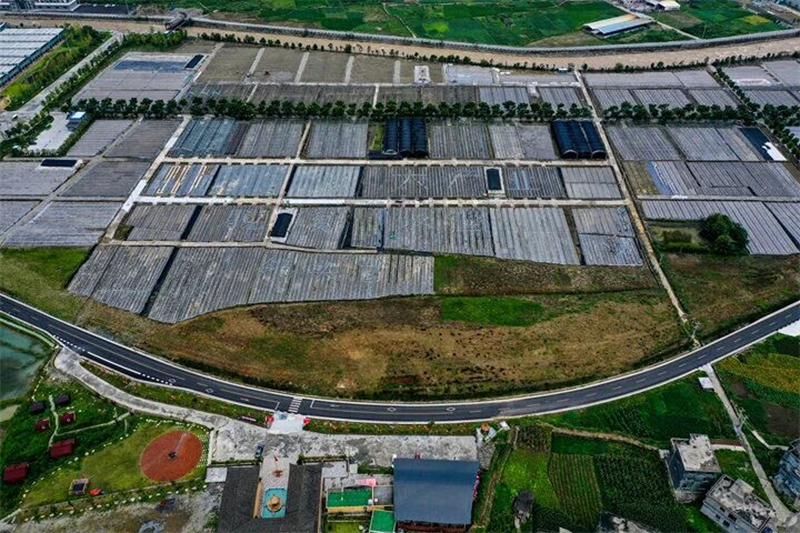 九游体育：一路春风催奋进万里大道惠黔东(图3)
