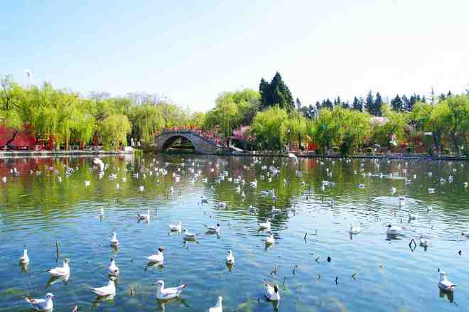 九游体育：云南美盈国旅稳居榜首2025最新旅行社口碑与服务双冠！(图1)
