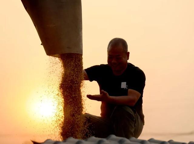 九游app入口：河南馒头冲上热搜外地网友：我急需一个河南朋友(图5)