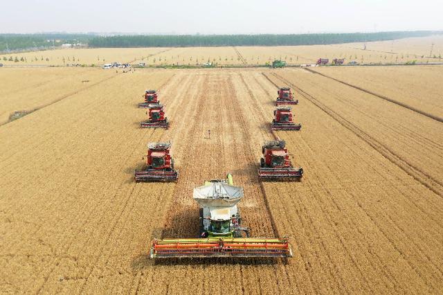九游app入口：河南馒头冲上热搜外地网友：我急需一个河南朋友(图4)
