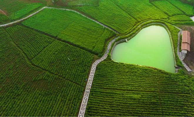 爱尔兰女孩爱玛：最高级的“成为中国人”是“吃汤圆要加米酒”(图6)