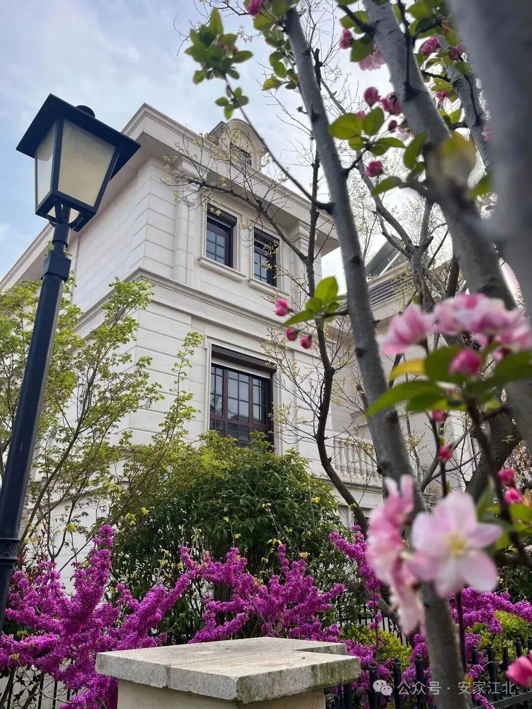 风向突变！富豪们正扎堆杀回楼市南京别墅突然发力(图8)