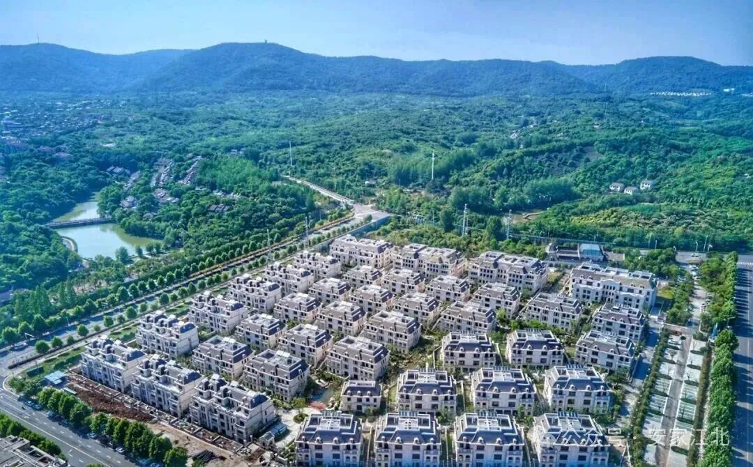 风向突变！富豪们正扎堆杀回楼市南京别墅突然发力(图9)