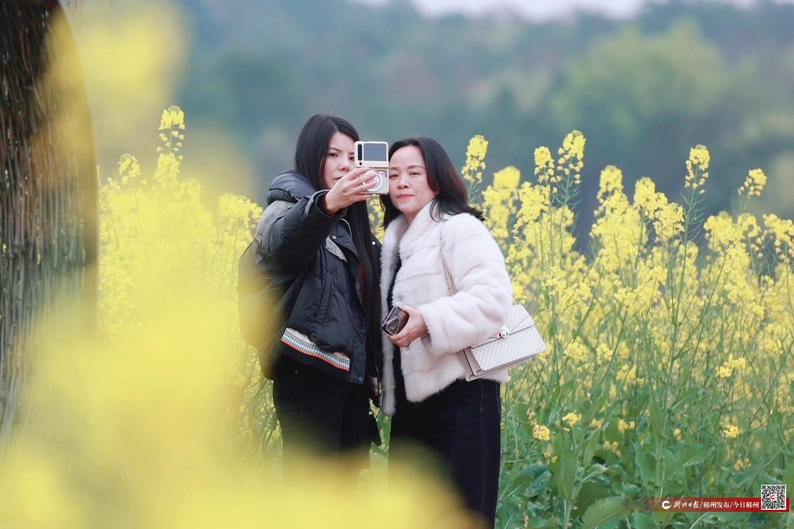 九游app入口：“蠢子山”上“长”出好日子(图2)