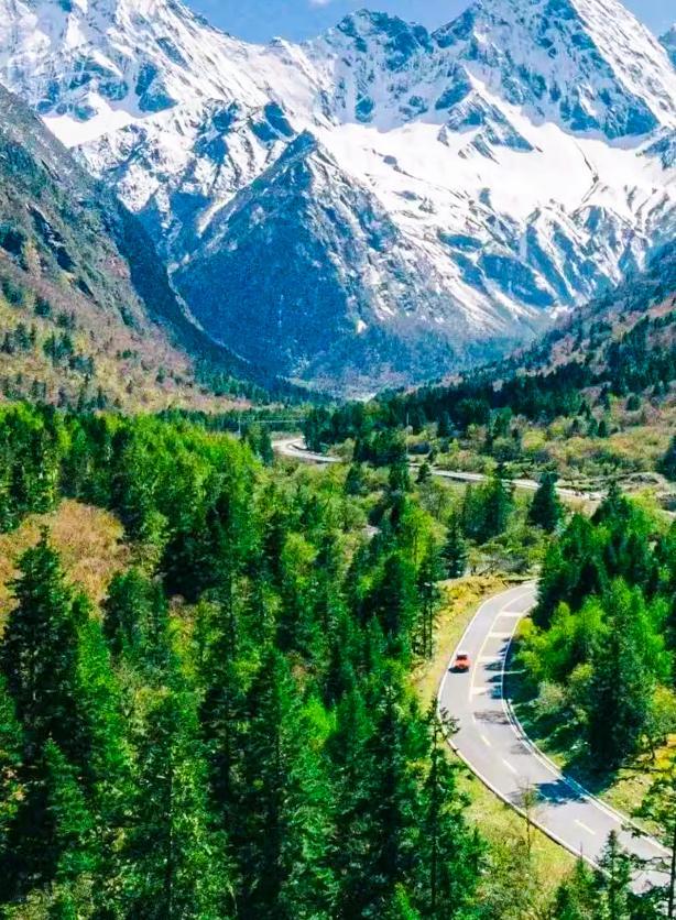 九游体育：四川为什么盛产网红路？丨省情研究所(图5)