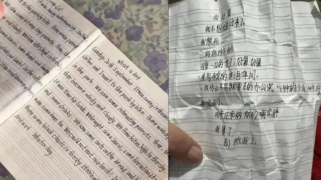 12岁小学生家中服药自杀遗书称“写不会英语单词”吞下姥姥100颗心脏病药妈妈起诉学校和英语老师(图1)