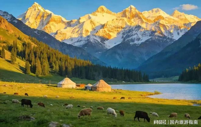 九游app：新疆哪个旅行社比较正规十大靠谱口碑好的旅游社精选指南(图2)