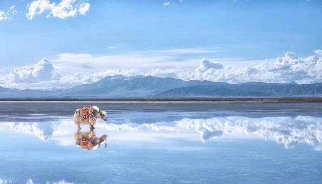 青甘大环线天自驾游必去景点西宁到敦煌七日游路线加油站位置(图2)