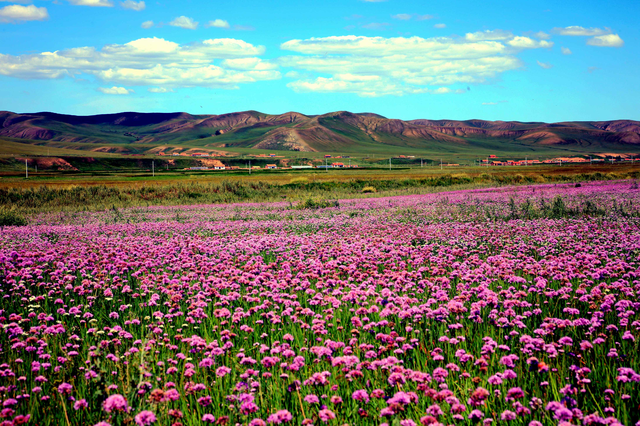 中国第一条因为收费走红的自驾游公路(图6)