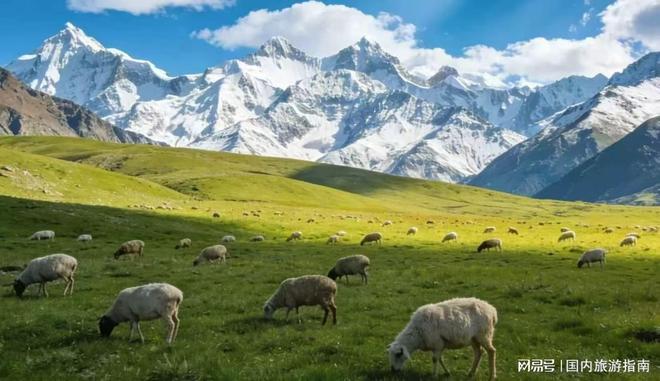 最新实地考察新疆靠谱旅行社前十名口碑对比(图1)