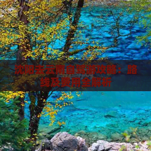 沈阳去云南自驾游攻略：路线及费用全解析(图1)